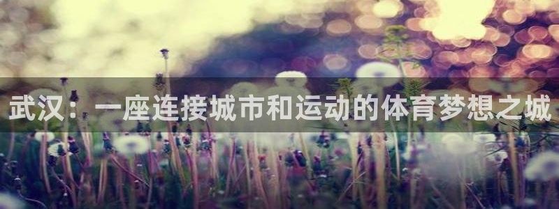 球速体育：武汉：一座连接城市和运动的体育梦想之城