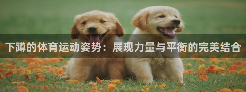球速体育：下蹲的体育运动姿势：展现力量与平衡的完美结合