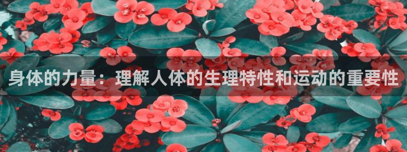球速体育：身体的力量：理解人体的生理特性和运动的重要性