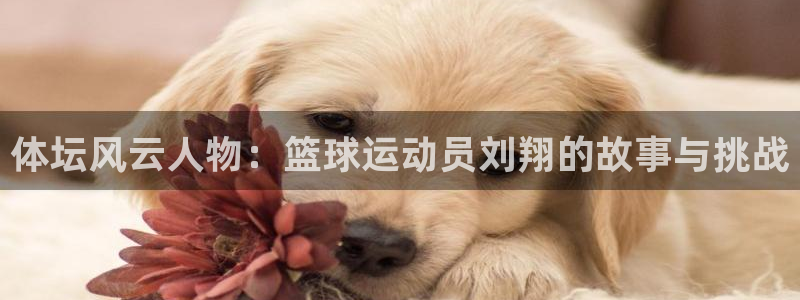 球速体育：体坛风云人物：篮球运动员刘翔的故事与挑战