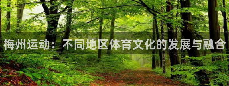 球速体育：梅州运动：不同地区体育文化的发展与融合