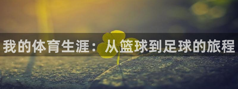 球速体育：我的体育生涯：从篮球到足球的旅程