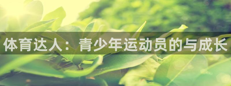 球速体育：体育达人：青少年运动员的与成长