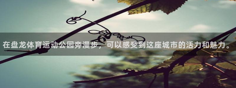球速体育：在盘龙体育运动公园旁漫步，可以感受到这座城市的活力和魅力。