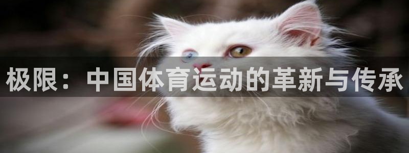 球速体育：极限：中国体育运动的革新与传承
