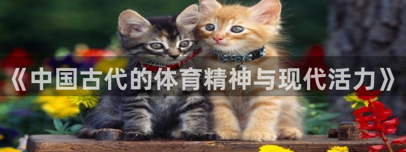 球速体育：《中国古代的体育精神与现代活力》