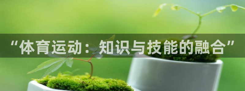 球速体育：“体育运动：知识与技能的融合”