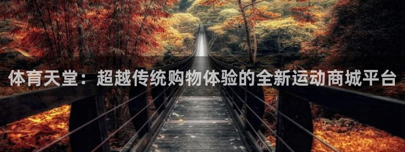 球速体育：体育天堂：超越传统购物体验的全新运动商城平台